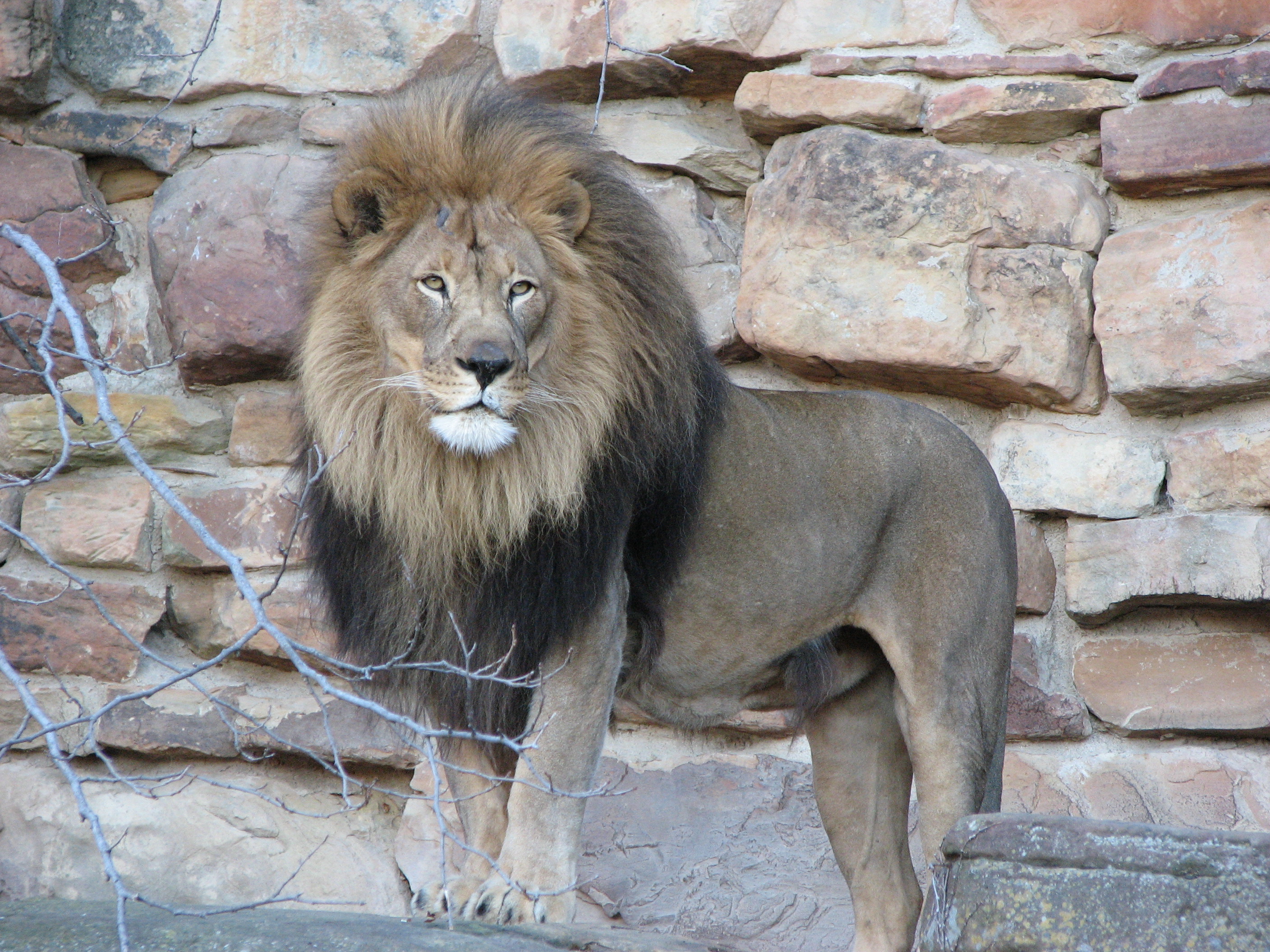 Fort Worth Zoo Animals seconews.org